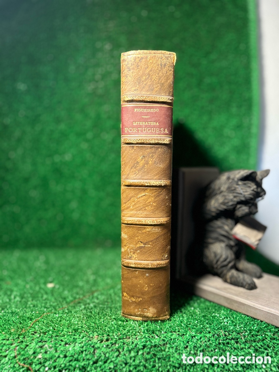 Libros antiguos: HISTORIA LITERARIA DE PORTUGAL - FIDELINO DE FIGUEIREDO - A6