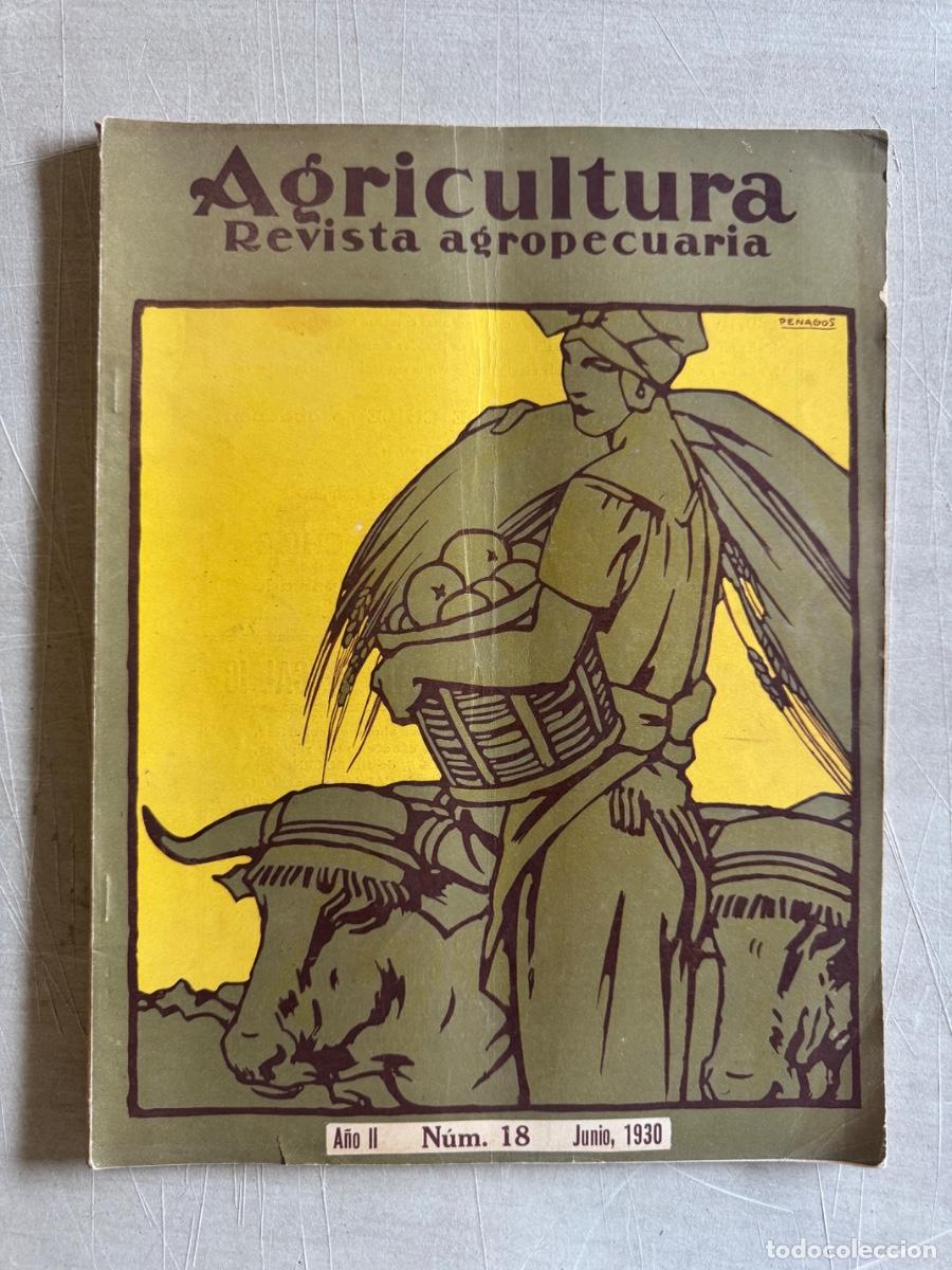 Libros antiguos: Revista Agricultura, Precio de coste de aceite oliva, La majada de los paises frios, A&ntilde;o 1930