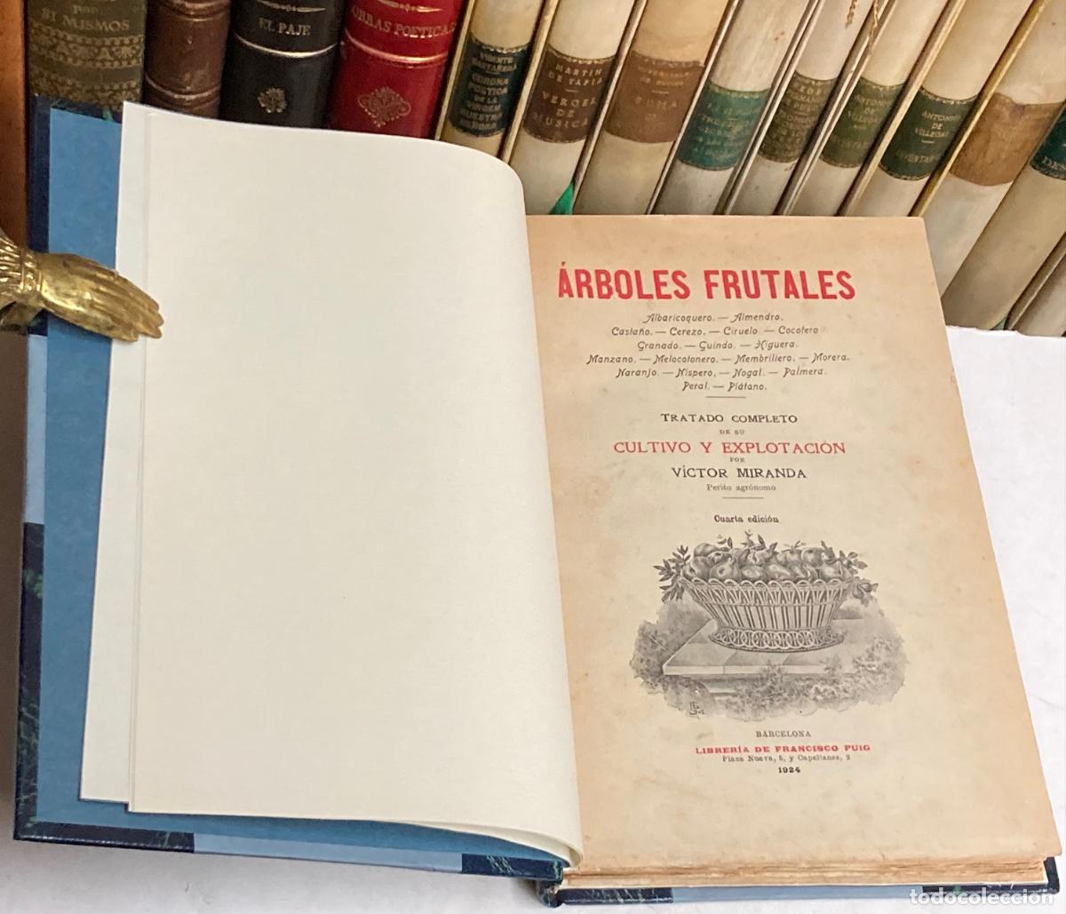Livres anciens: A&Ntilde;O 1924 - &Aacute;RBOELS FRUTALES TRATADO COMPLETO DE SU CULTIVO Y EXPLOTACI&Oacute;N POR V&Iacute;CTOR MIRANDA