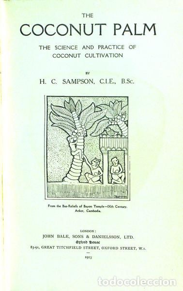 Libros antiguos: SAMPSON. (H. C.) - THE COCONUT PALM. - Foto 2