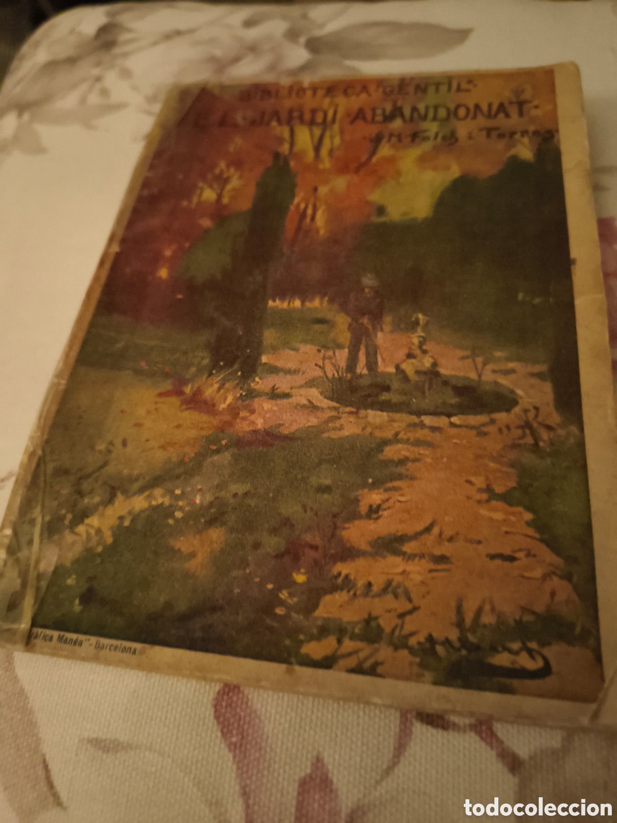 Libros antiguos: EL JARDI ABANDONAT DE JOSEP M. FOLCH I TORRES (BAGU&Ntilde;A)