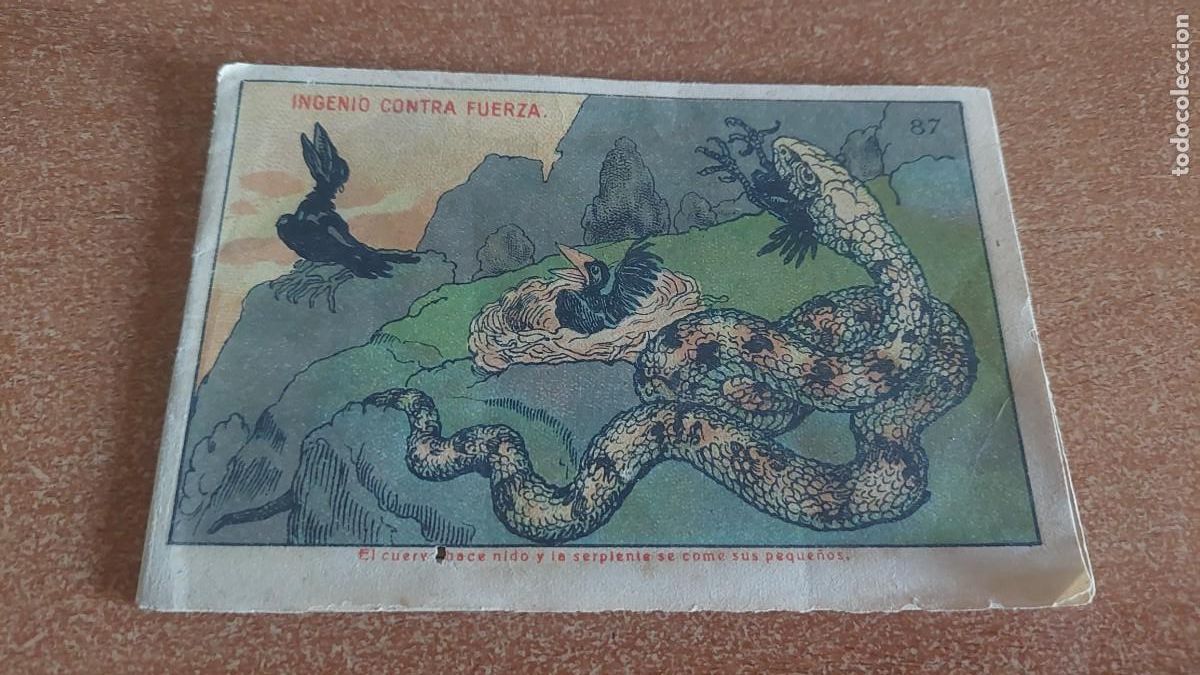 Libros antiguos: Librito para pintar para ni&ntilde;os circa 1920