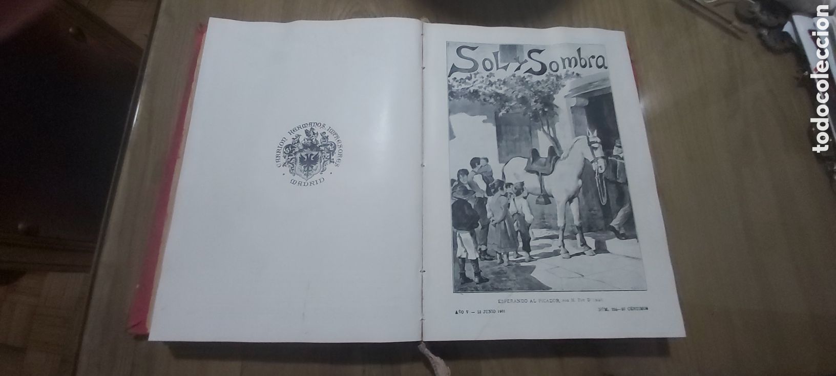 Libros antiguos: REVISTA SOL Y SOMBRA COMPLETA 1901 - Foto 6