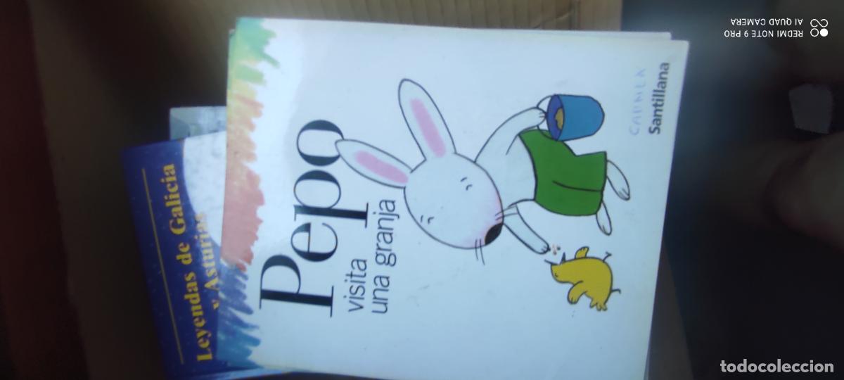 Libros antiguos: PEPO VISITA UNA GRANJA , ,SANTILLANA , 2006 , ESCRITO POR ELISA MARISCAL Y DIBUJADO POR AVI