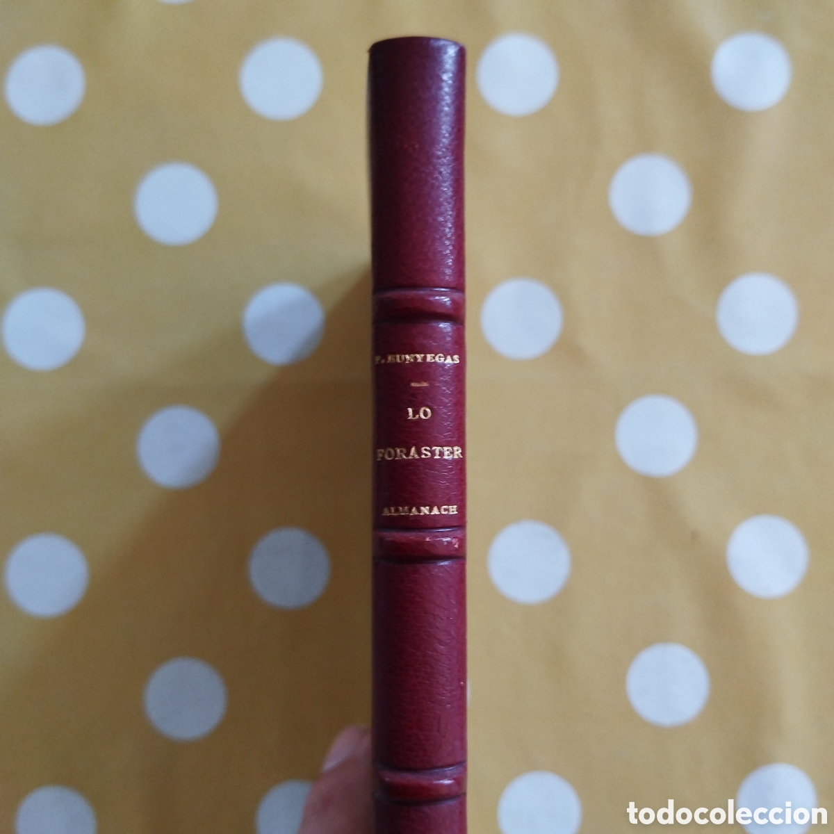Libros antiguos: LO FORASTER ALMANACH PER L'ANY 1872 PASSEIGS SATIRICHS PER BARCELONA PAU BUNYEGAS