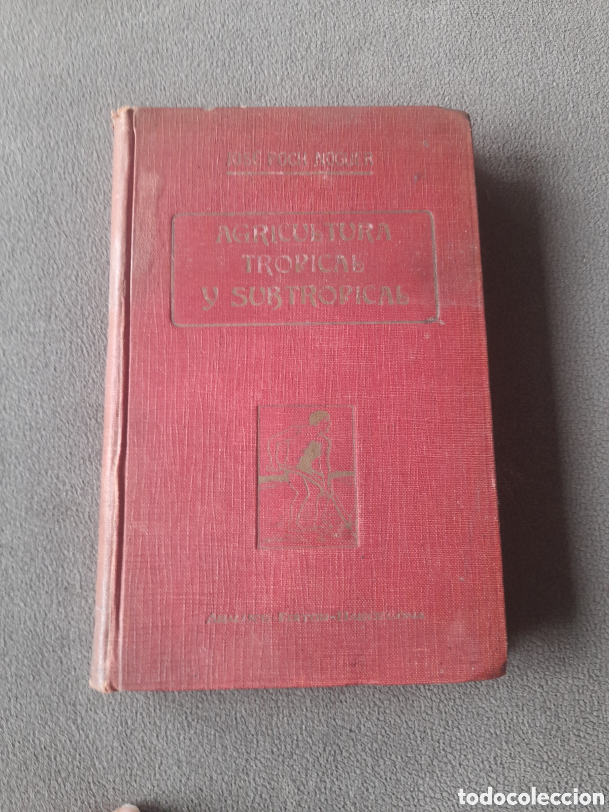 Libros antiguos: Libro agricultura tropical y subtropical por Jos&eacute; Poch Noguer