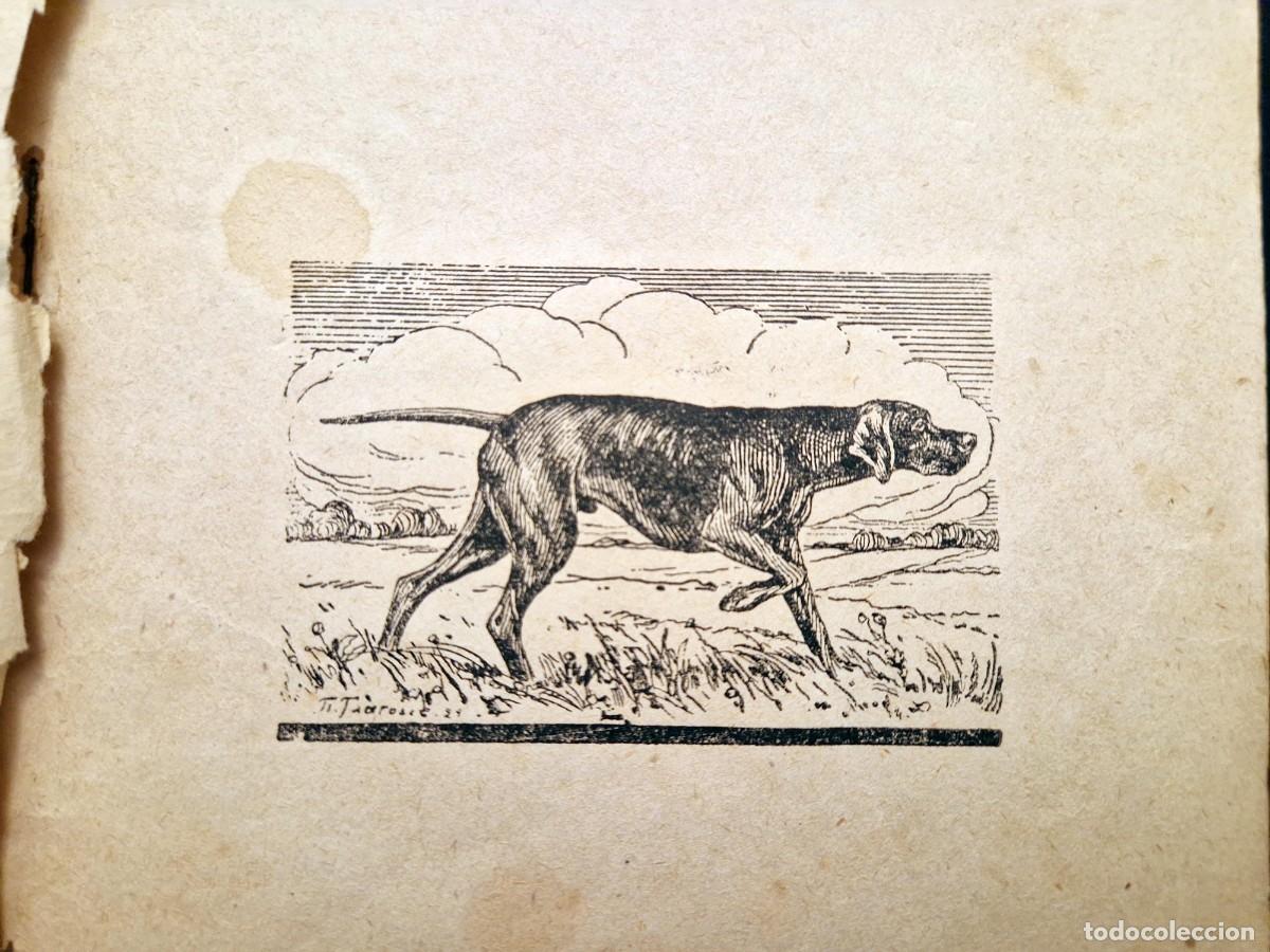 Libros antiguos: Perro Pointer - Est&aacute;ndar y Anatom&iacute;a - V.N. Basnin - 1929 - Uni&oacute;n de Cazadores Ryazan URSS