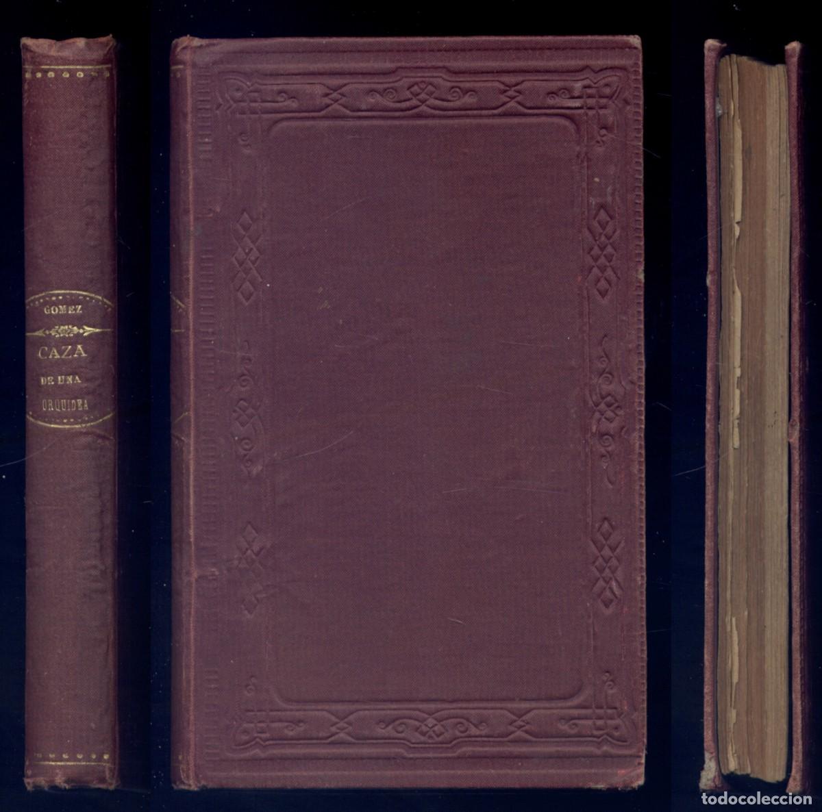 Libros antiguos: G&Oacute;MEZ, Valent&iacute;n. La caza de una orquidea. Viaje novelesco al interior del Yemen... Madrid, 1889.