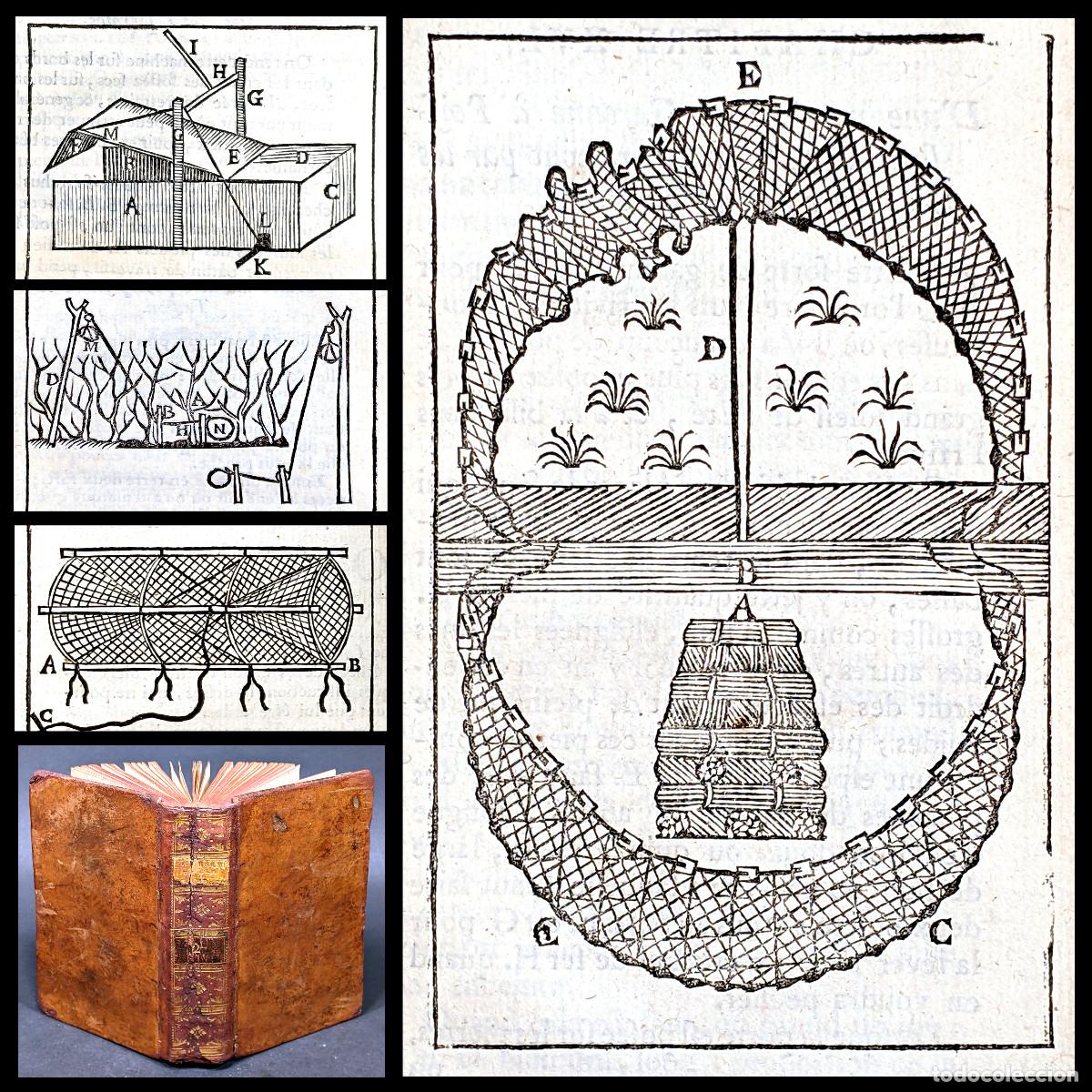 Livres anciens: A&ntilde;o 1753 Secretos y trucos para pescar con redes en r&iacute;os Diversiones campestres Huellas 43 Grabados