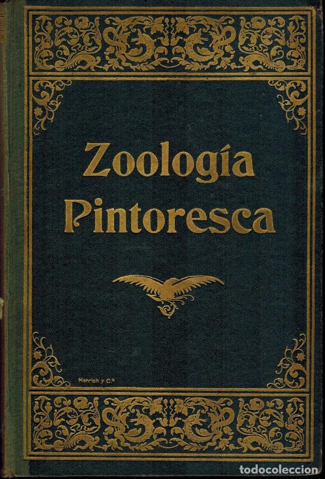 Libros antiguos: ZOOLOG&Iacute;A PINTORESCA por Miguel Pons F&aacute;bregues