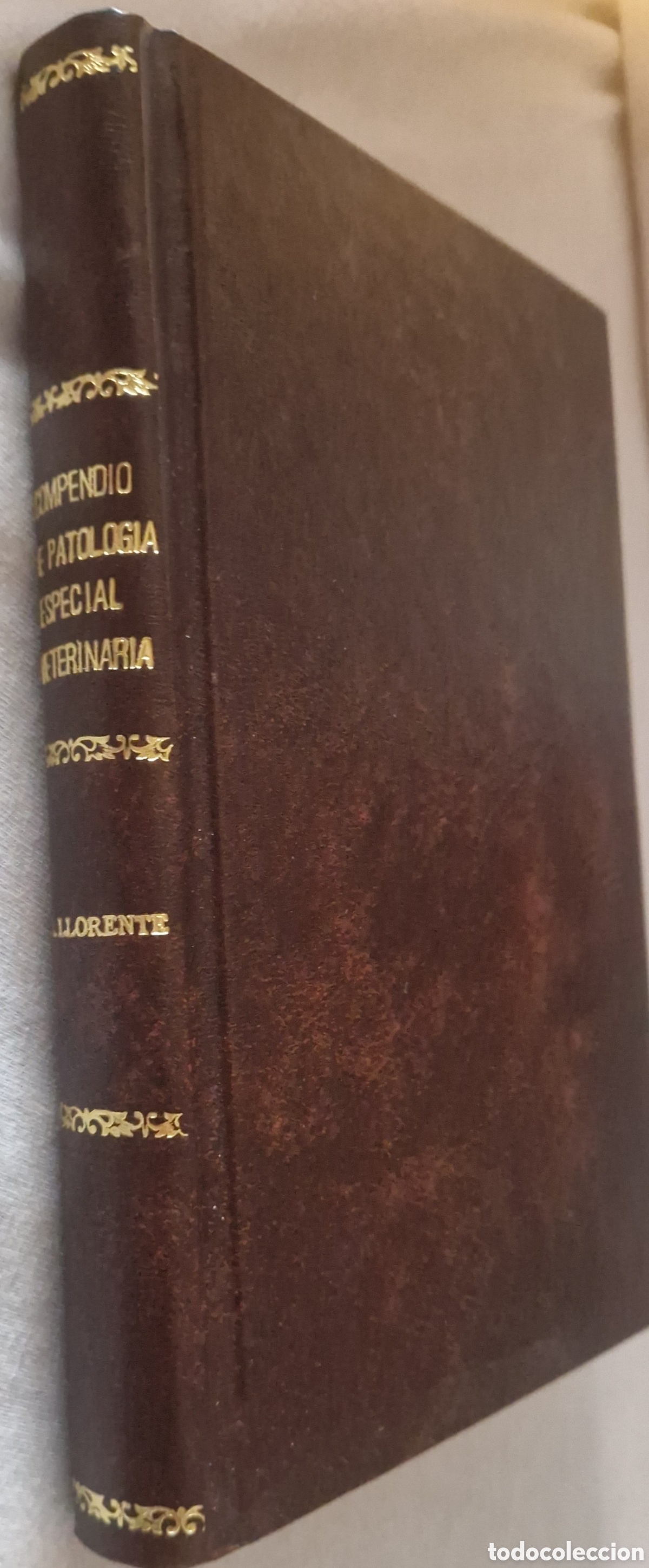 Libros antiguos: Compendio de Patolog&iacute;a Especial Veterinaria