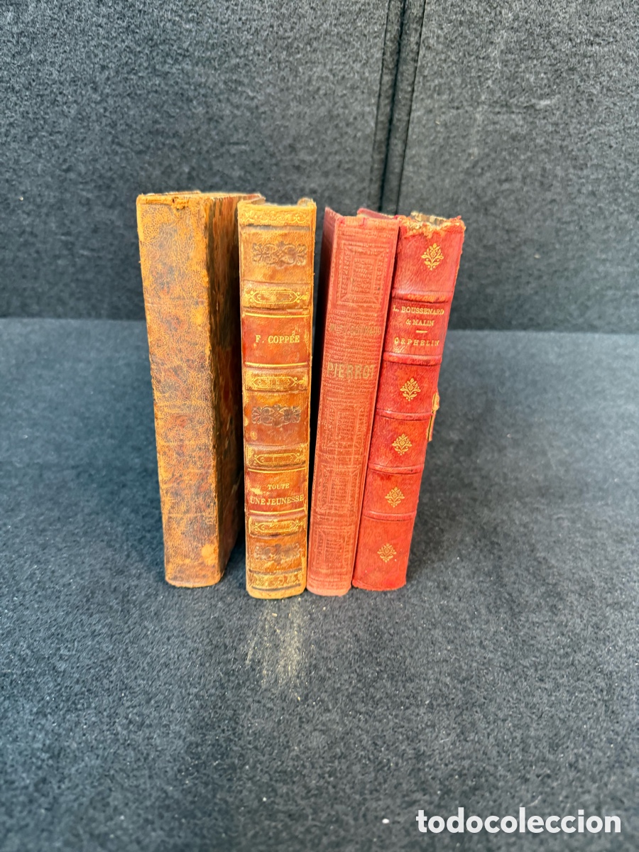 Libros antiguos: siglo XIX - LOTE LIBROS ANTIGUOS LITERATURA FRANCESA GRABADOS HISTORIA NOVELA