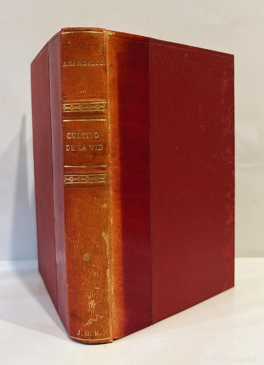Libros antiguos: Tratado del cultivo de la vid en Espa&ntilde;a y modo de mejorarlo. 1870.