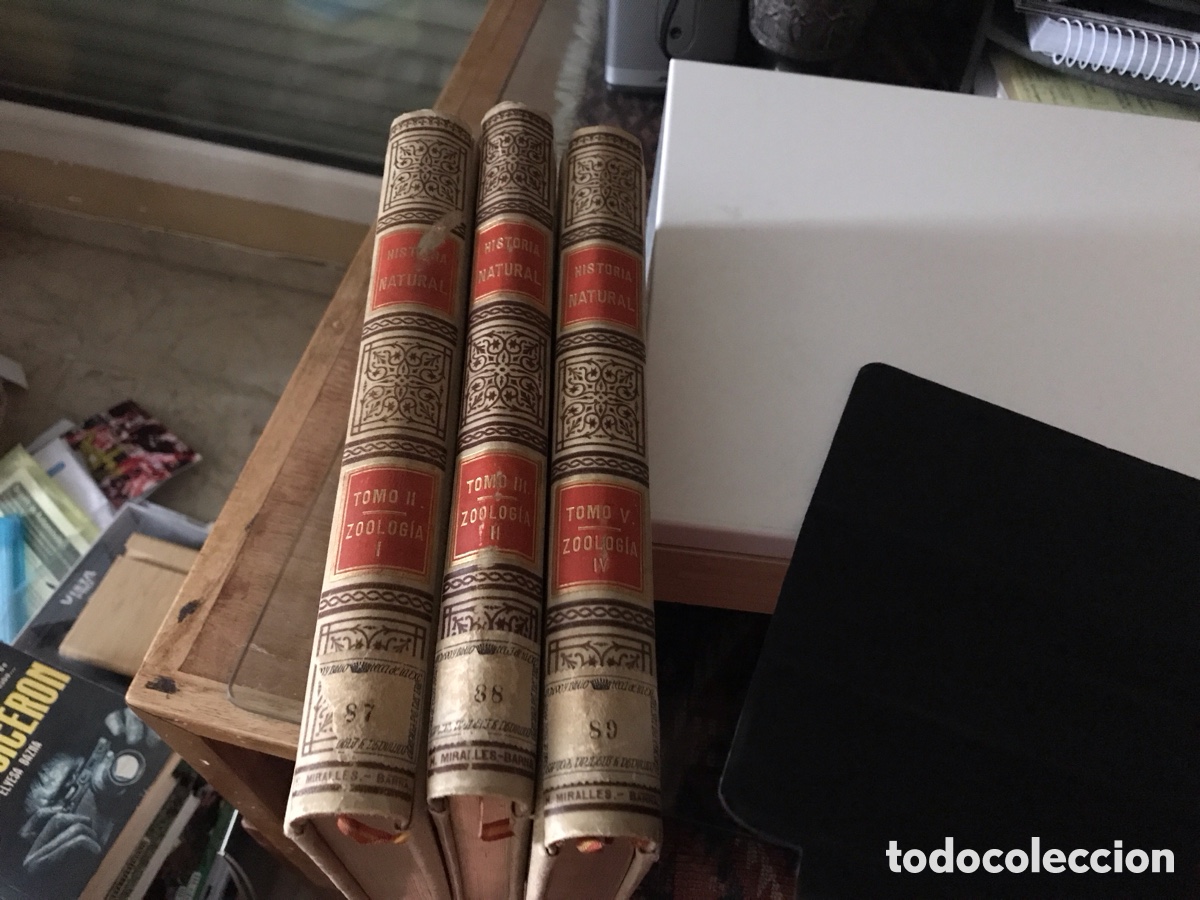 Libros antiguos: Historia Natural. Zoolog&iacute;a I, II y IV. Montaner y Sim&oacute;n 1891.