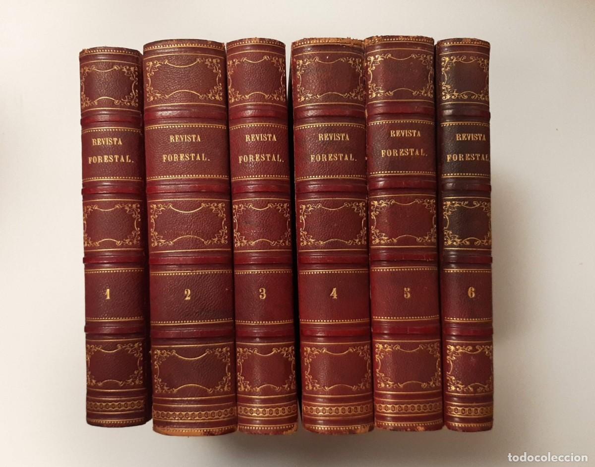 Libros antiguos: REVISTA FORESTAL, ECON&Oacute;MICA Y AGR&Iacute;COLA - GARC&Iacute;A MARTINO, FRANCISCO