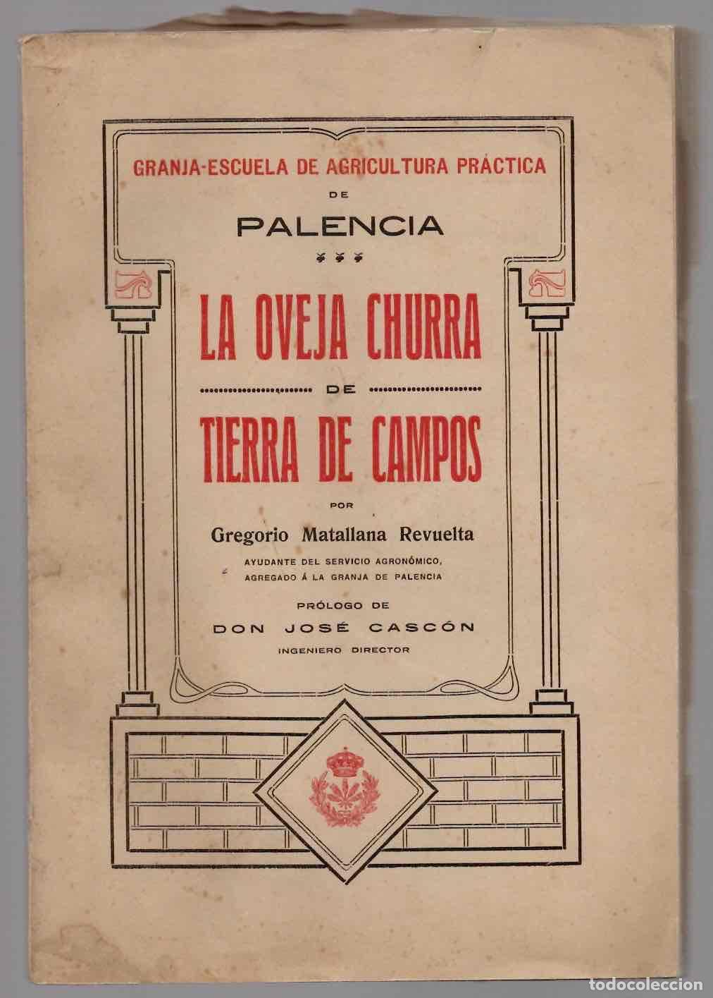 Libros antiguos: LA OVEJA CHURRA DE TIERRA DE CAMPOS. GREGORIO MATALLANA REVUELTA. A&Ntilde;O 1915
