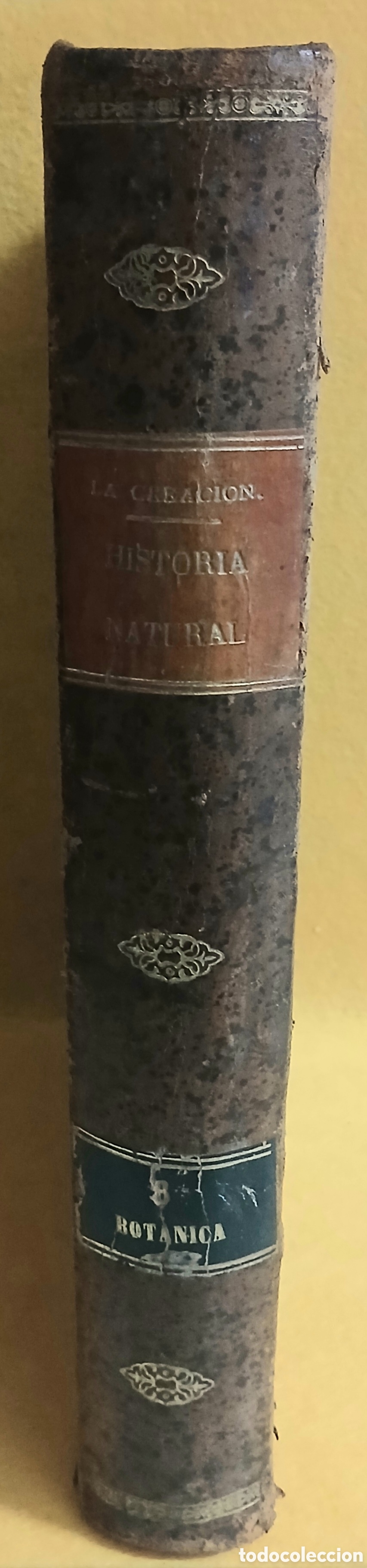 Libros antiguos: Historia Natural, bot&aacute;nica - Foto 2