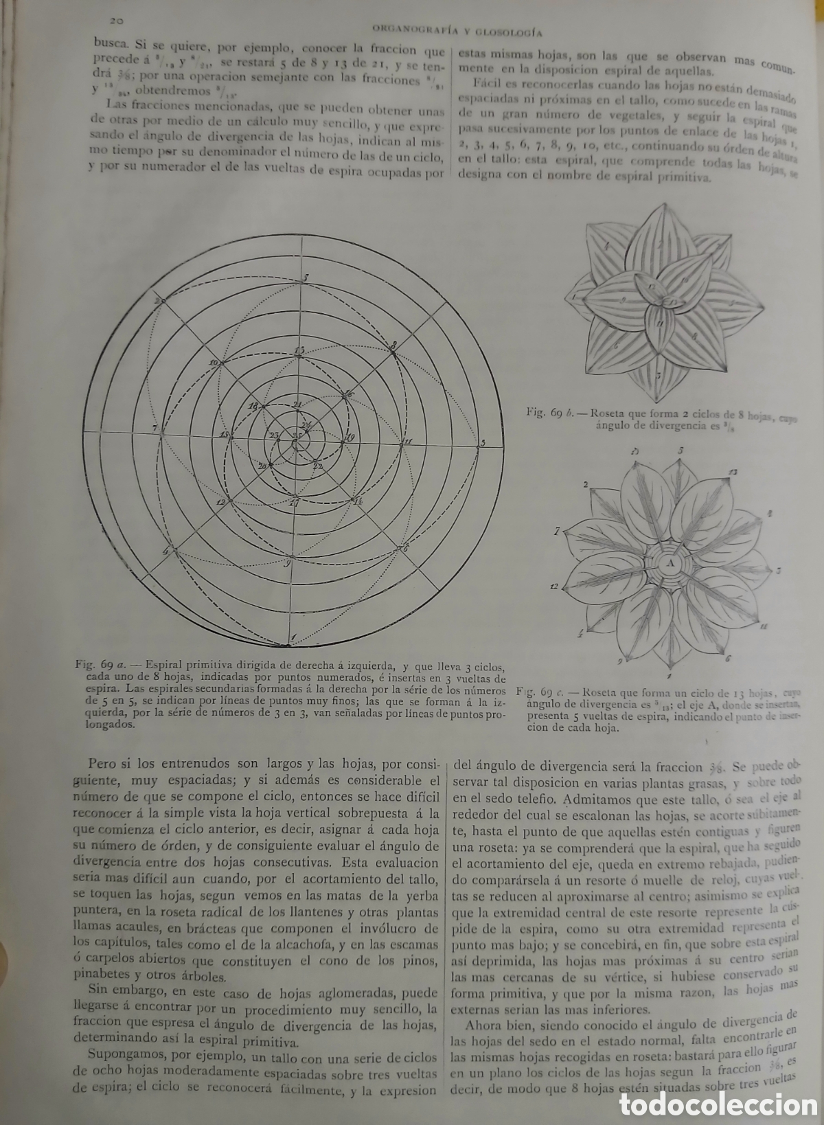 Libros antiguos: Historia Natural, bot&aacute;nica - Foto 4