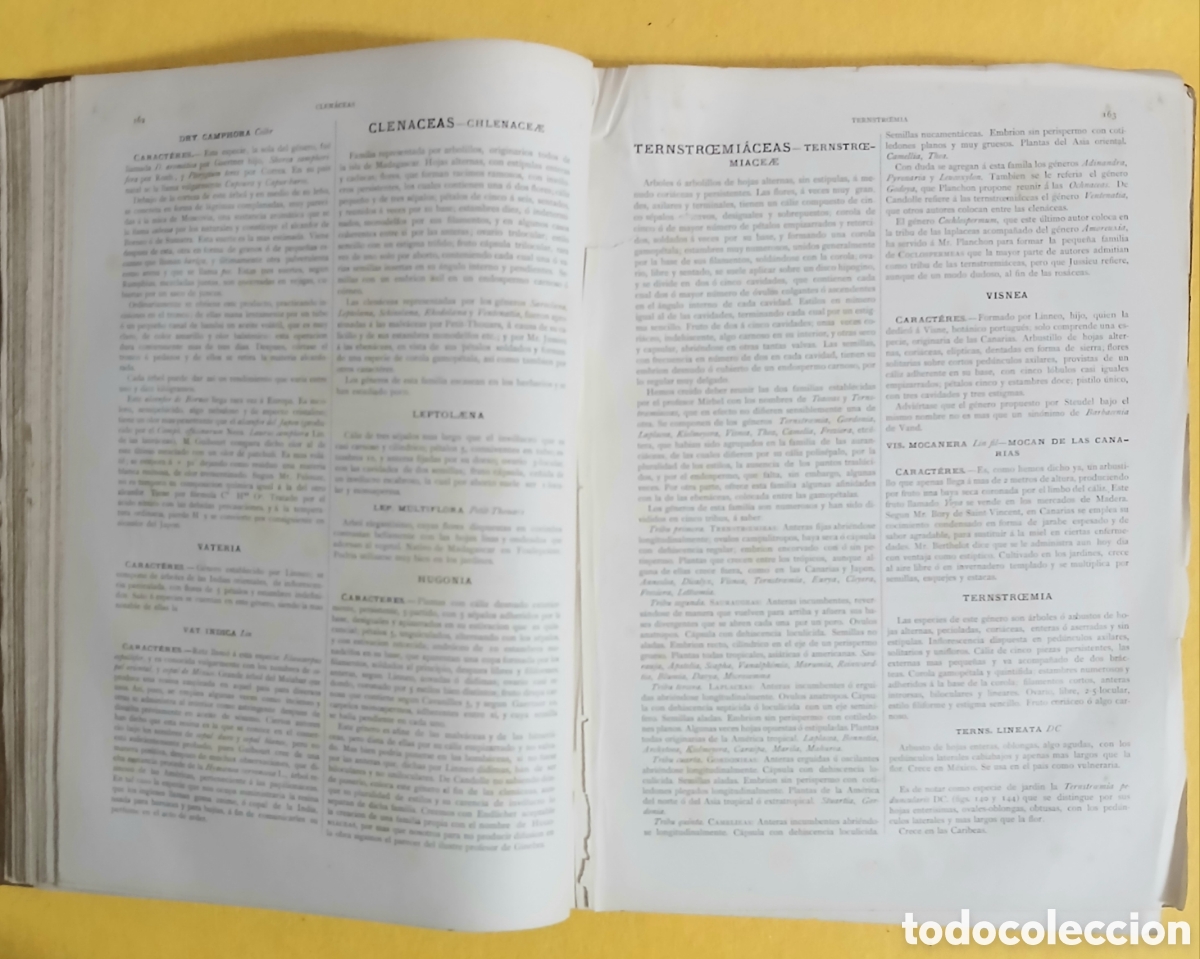 Libros antiguos: Historia Natural, bot&aacute;nica - Foto 6