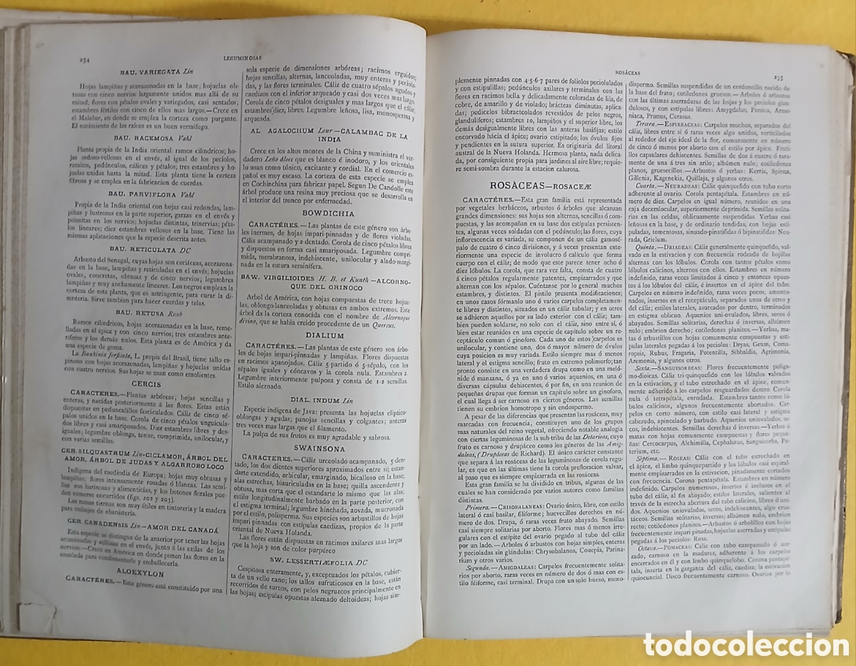 Libros antiguos: Historia Natural, bot&aacute;nica - Foto 7