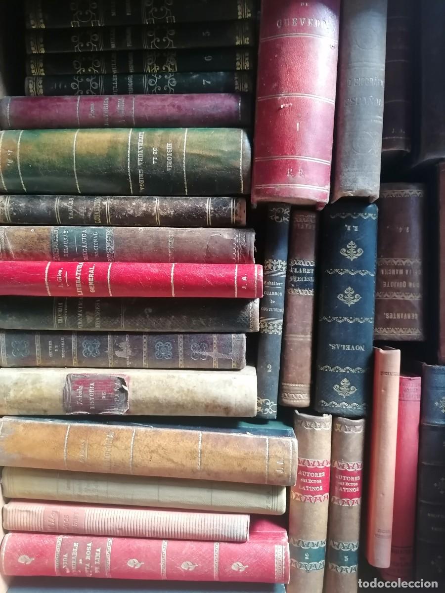 Old books: Lote variado de libros antiguos encuadernados en piel