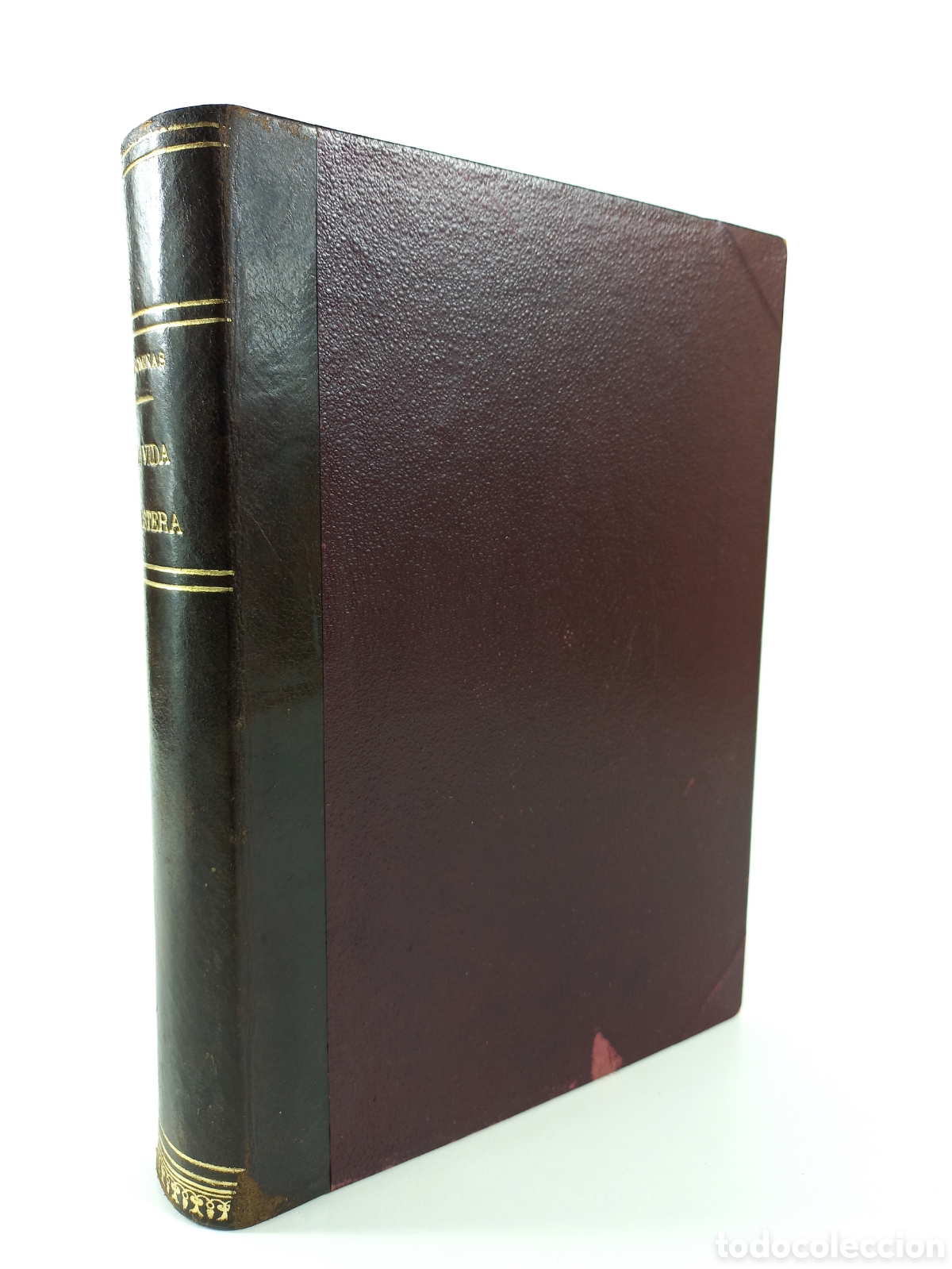 Libros antiguos: La Vida Austera. Pere Coromines. L'aven&ccedil;, 1908. Catal&aacute;n.