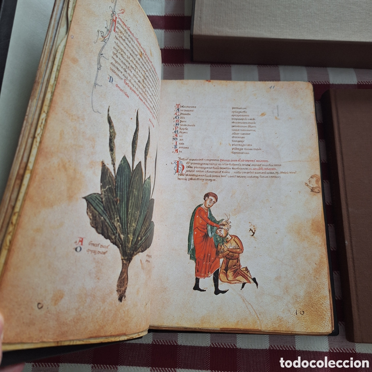Libros antiguos: facs&iacute;mil del Medicina Antiqua (Codex Vindobonensis 93) - Foto 3