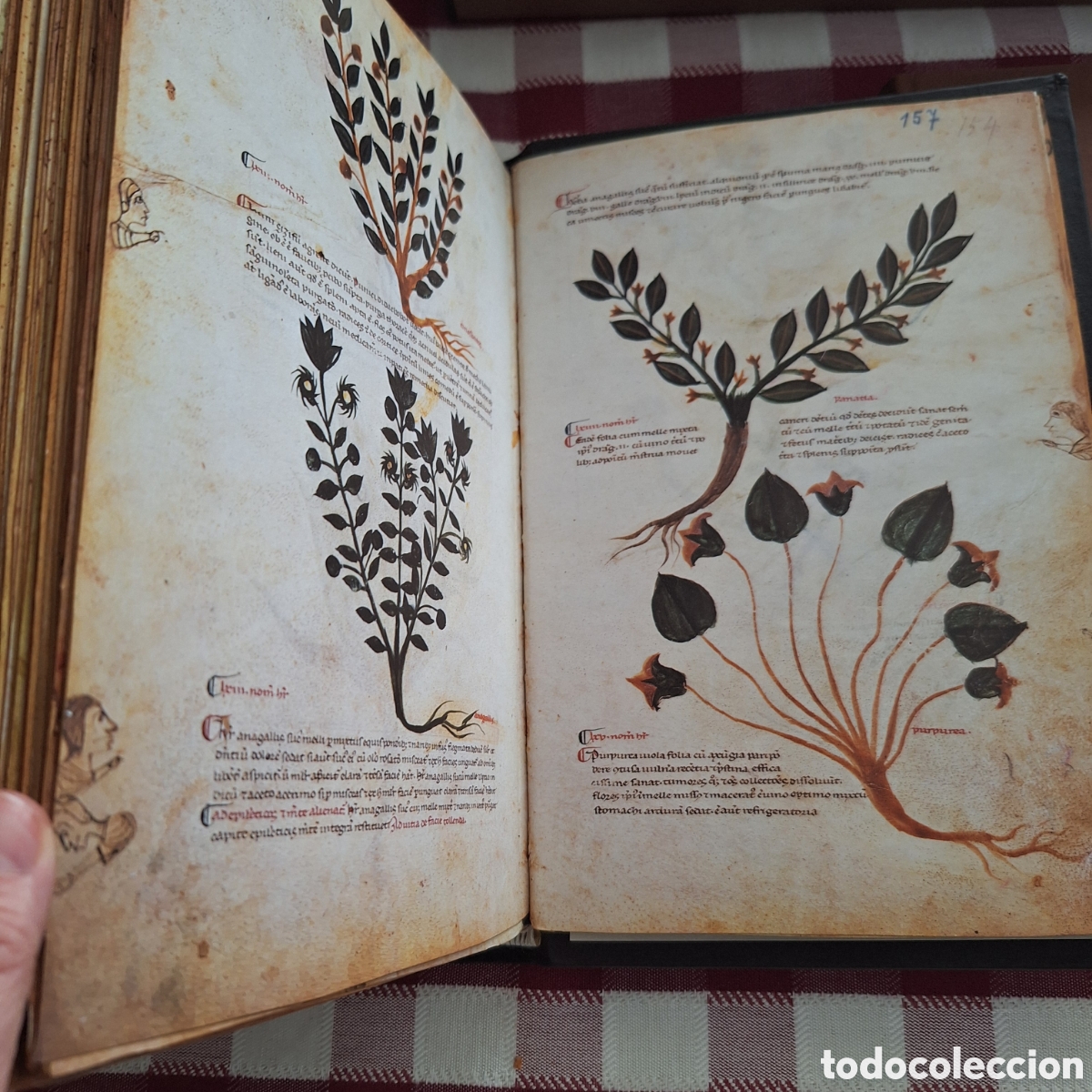 Libros antiguos: facs&iacute;mil del Medicina Antiqua (Codex Vindobonensis 93) - Foto 5
