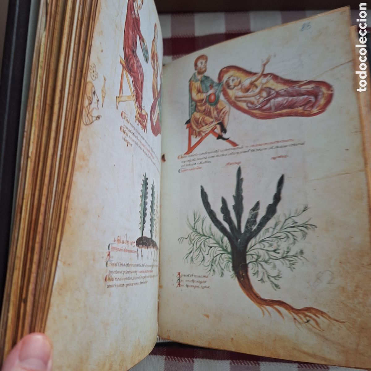 Libros antiguos: facs&iacute;mil del Medicina Antiqua (Codex Vindobonensis 93) - Foto 6