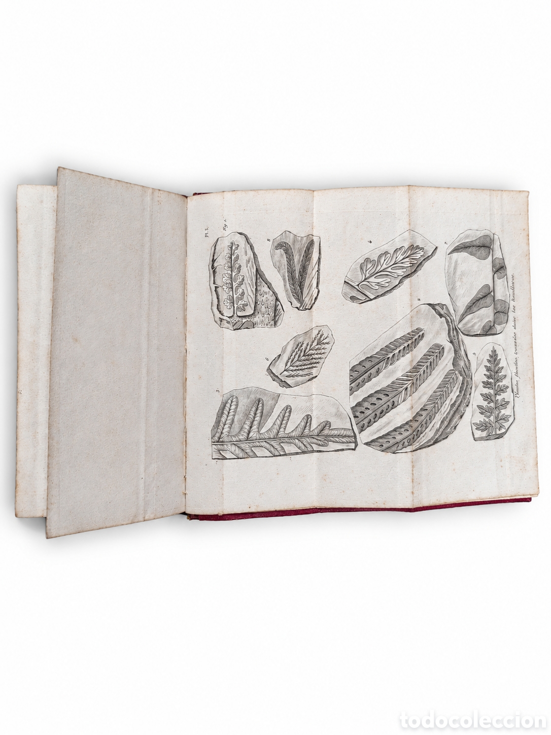 Libros antiguos: Discurso sobre las revoluciones en el globo 1867 - Foto 4