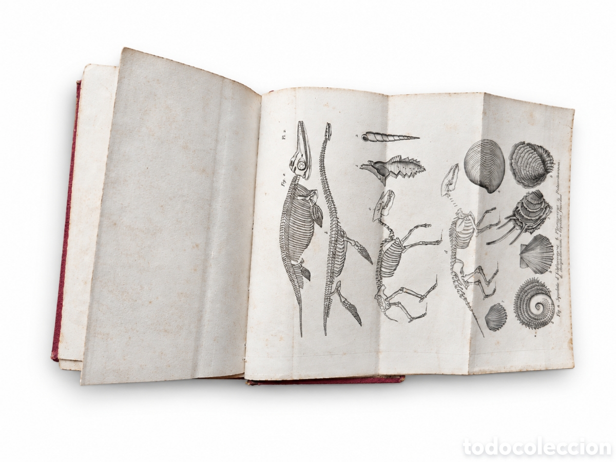 Libros antiguos: Discurso sobre las revoluciones en el globo 1867 - Foto 1