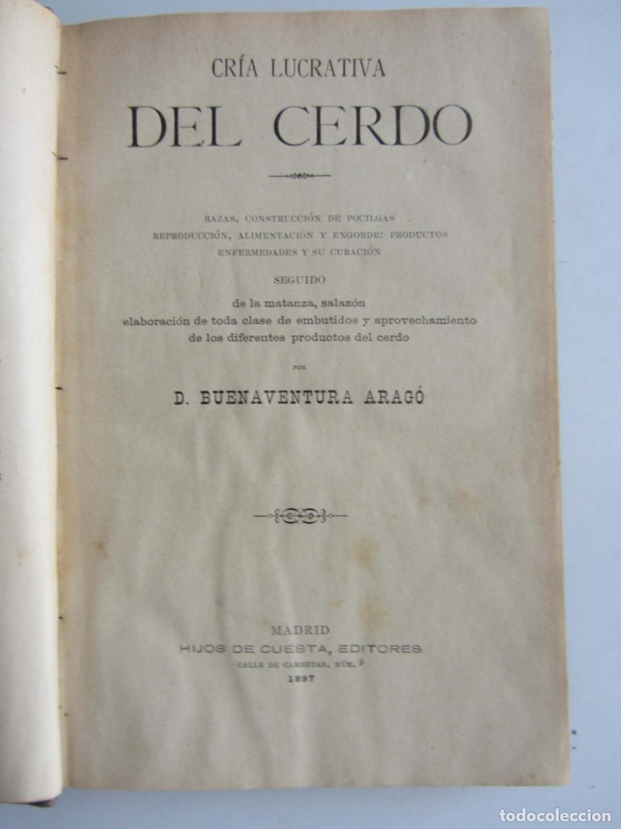 Libri antichi: Cr&iacute;a Lucrativa del Cerdo. Buenaventura Arag&oacute; - Ilustrado (Madrid 1897)