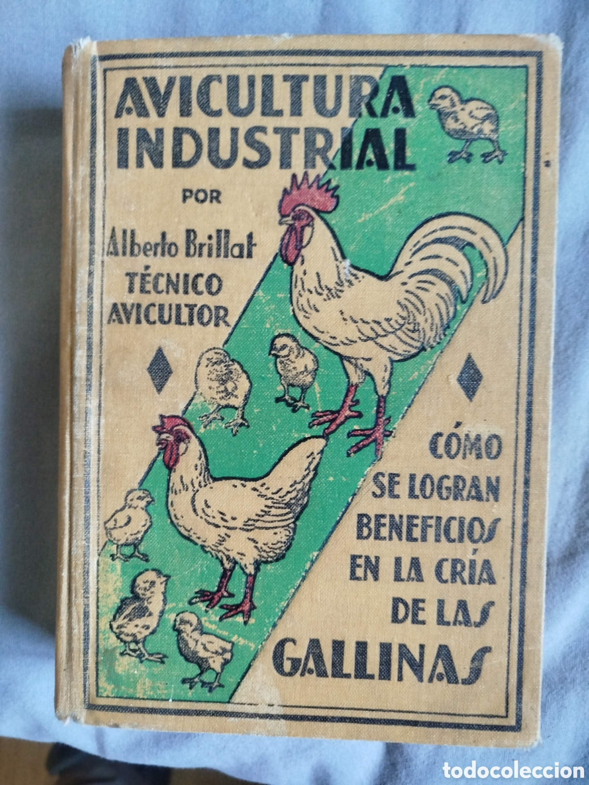 Livros antigos: Avicultura industrial cria de las gallinas