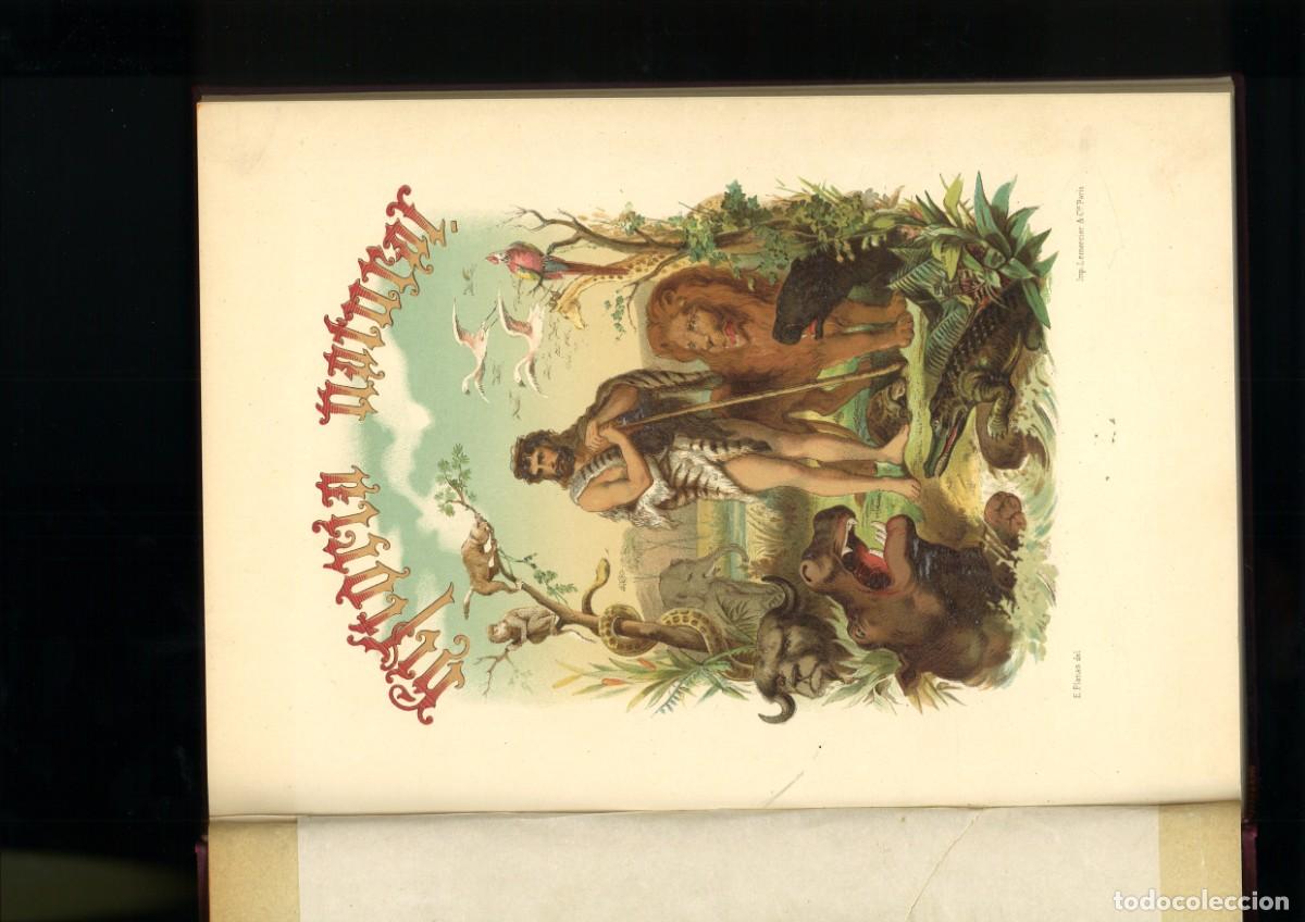 Libros antiguos: HISTORIA NATURAL. LIBRO DE LAMINAS