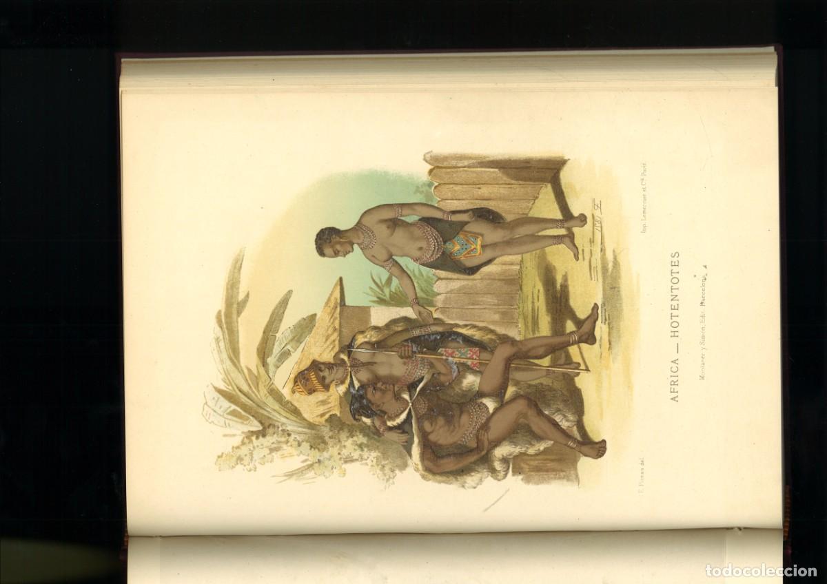 Libros antiguos: HISTORIA NATURAL. LIBRO DE LAMINAS - Foto 2