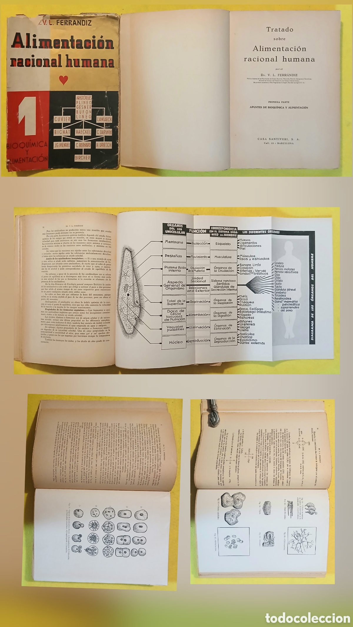 Libros antiguos: Tratado sobre alimentaci&oacute;n racional humana