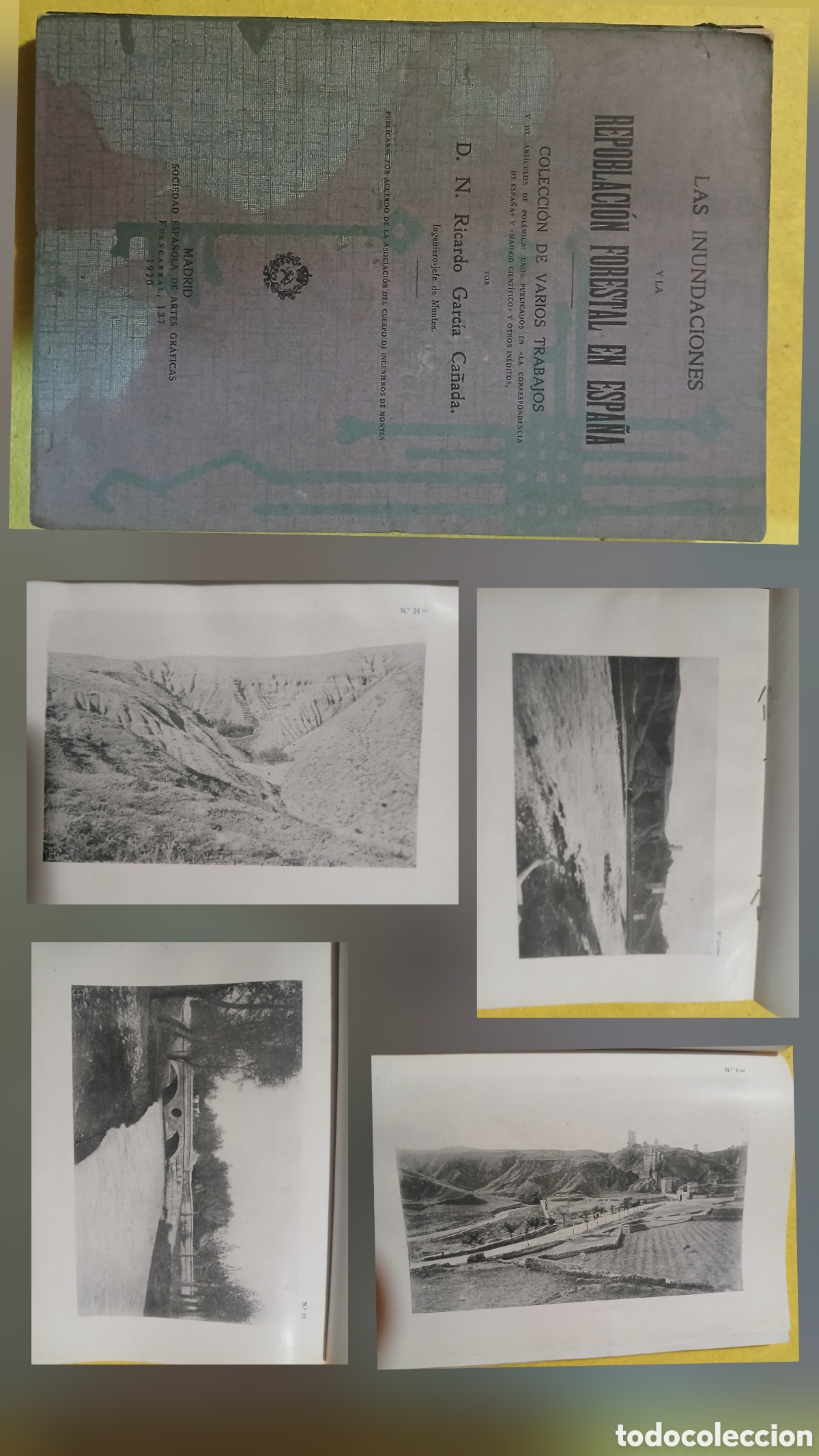 Libros antiguos: las inundaciones y la repoblacion forestal en Espa&ntilde;a