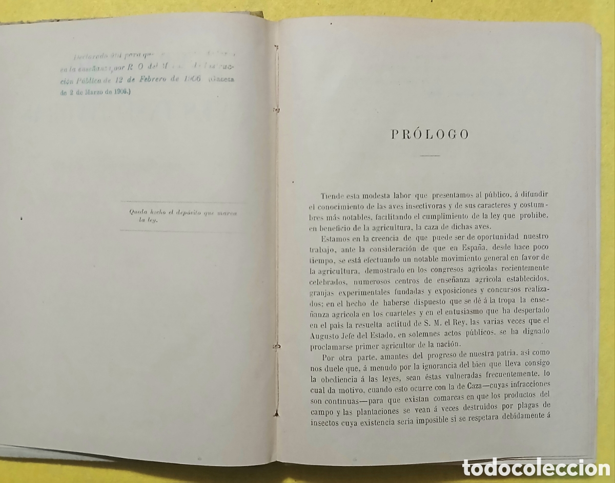 Libros antiguos: Tratado de las aves insectivoras - Foto 4