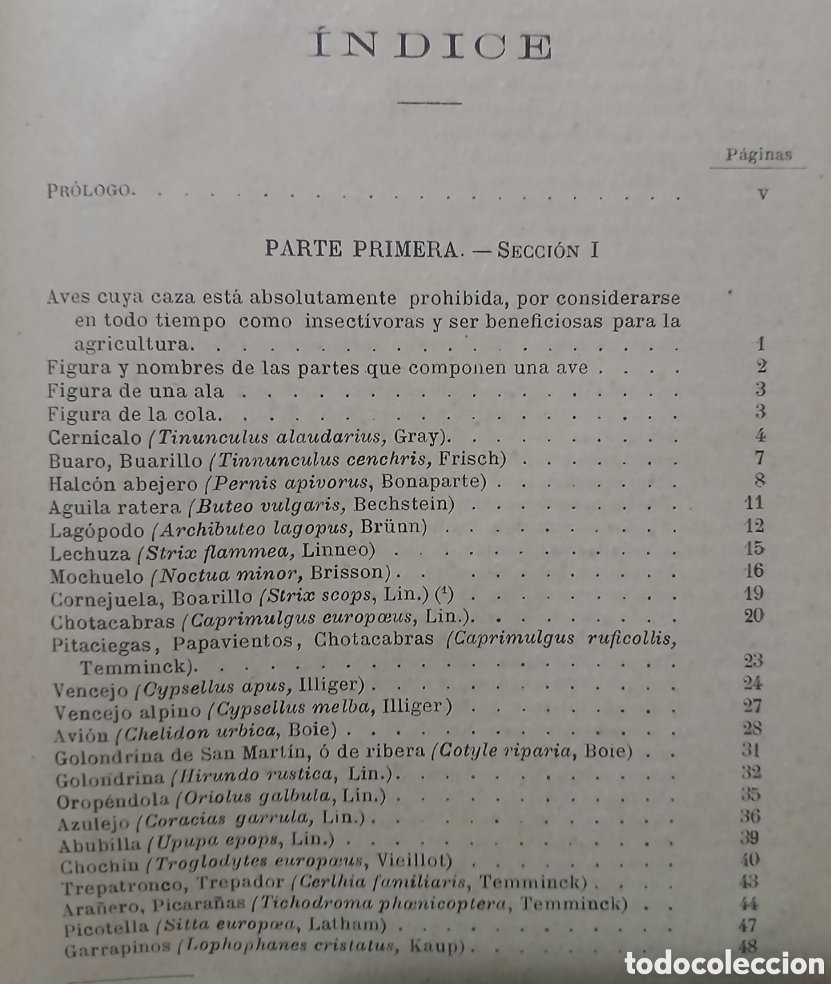 Libros antiguos: Tratado de las aves insectivoras - Foto 5