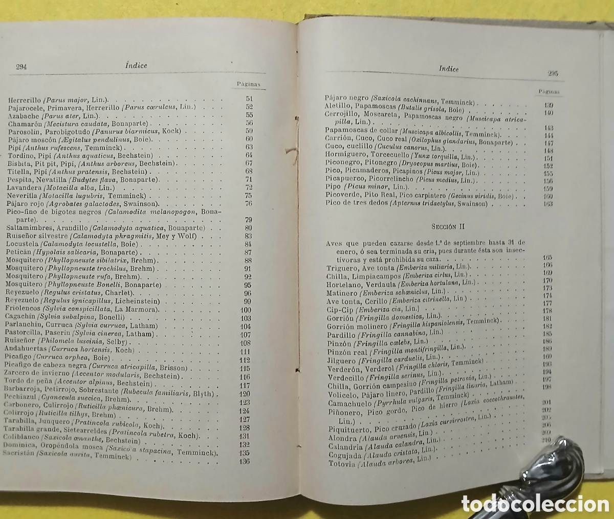 Libros antiguos: Tratado de las aves insectivoras - Foto 6