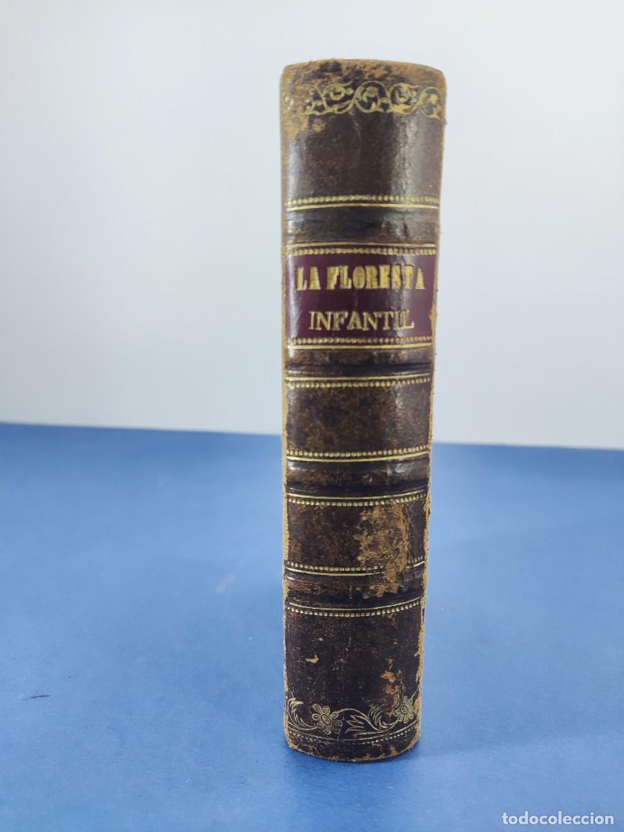 Libros antiguos: LA FLORESTA INFANTIL / 1855. VARIOS NUMEROS - Foto 1