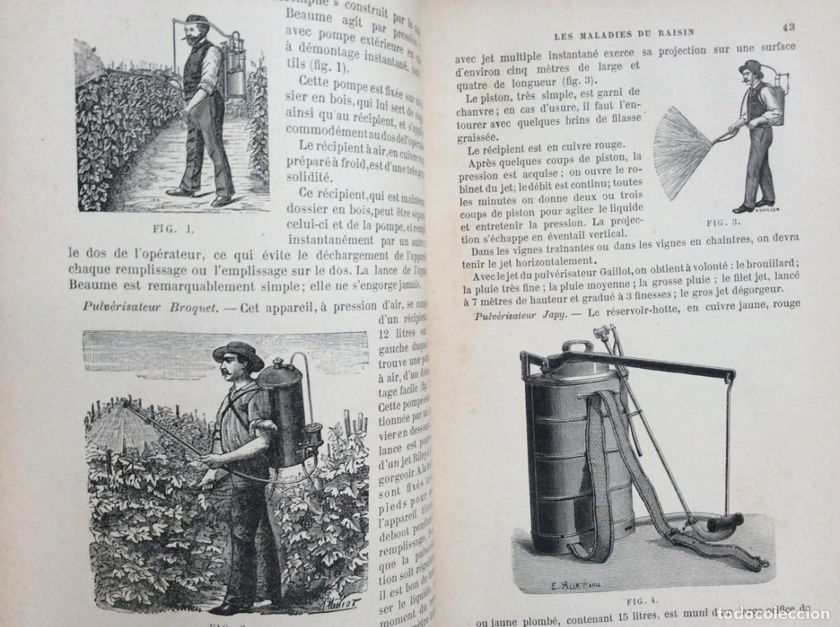 Libros antiguos: Livro Raro de Enologia: Trait&eacute; Pratique des Vins,1890 - Paul Le Sourd