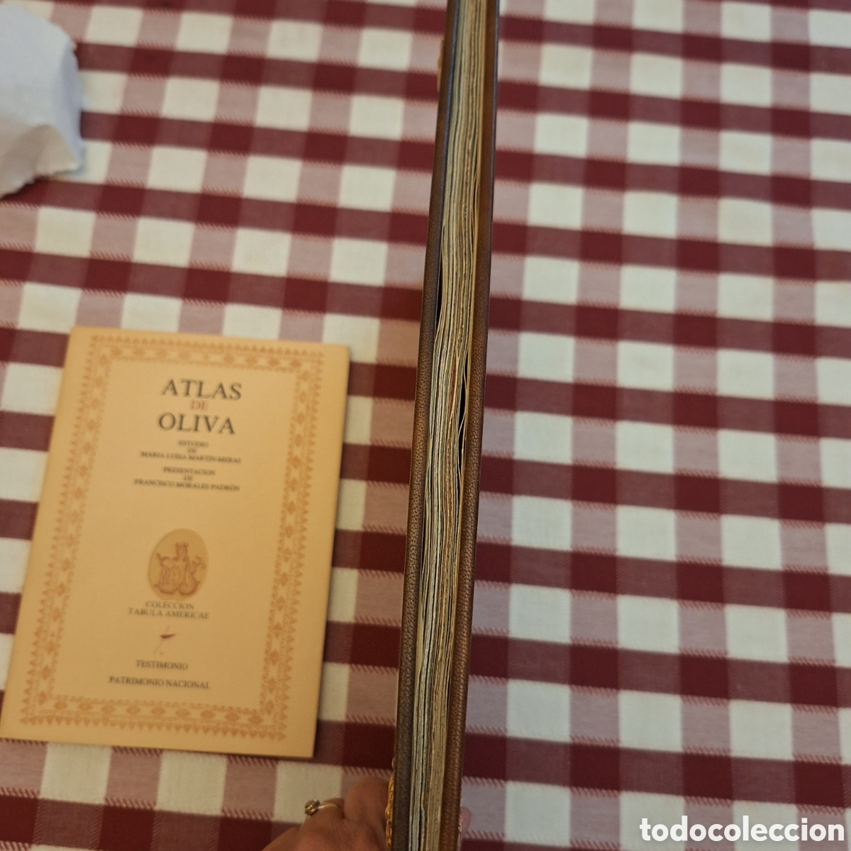 Libros antiguos: facs&iacute;mil del Atlas de Oliva - Foto 10