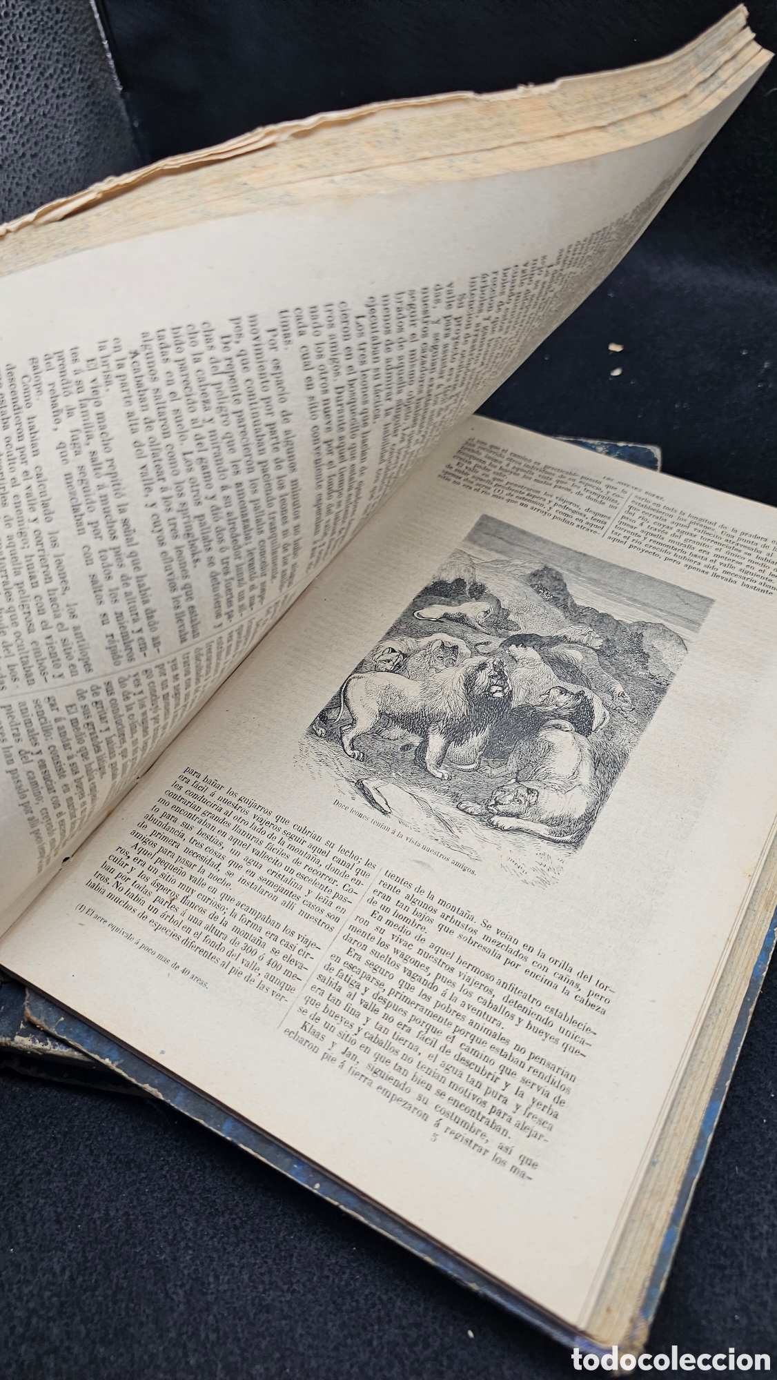 Libros antiguos: 2 libros antiguos con grabados 1871 - Foto 12