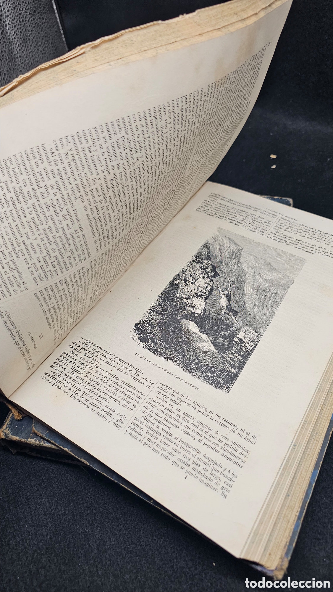 Libros antiguos: 2 libros antiguos con grabados 1871 - Foto 13