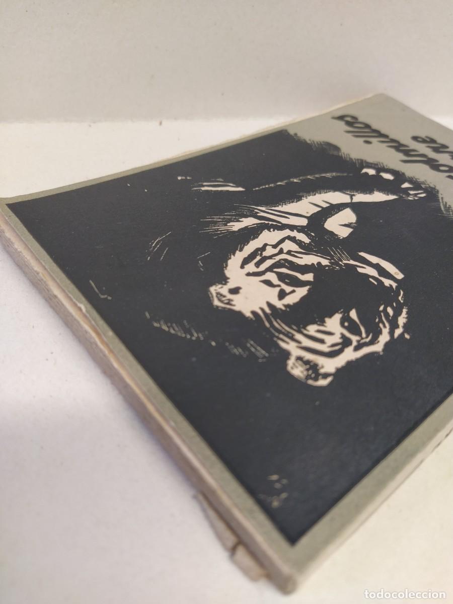 Libros antiguos: Celestino Testore - Los colmillos del tigre - Foto 4