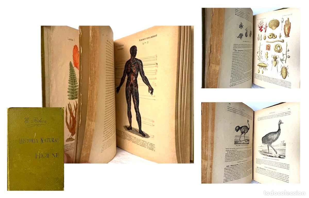 Libros antiguos: Elementos de Historia Natural (1897) Ribera G&oacute;mez. L&aacute;minas color. Ilustraciones