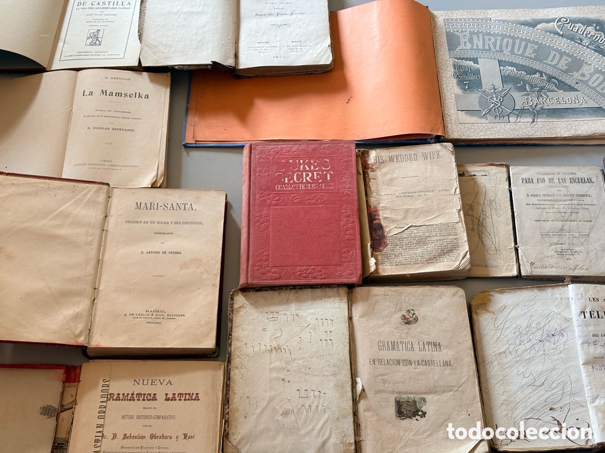 Libros antiguos: 22 LIBROS ANTIGUOS 1874-1905