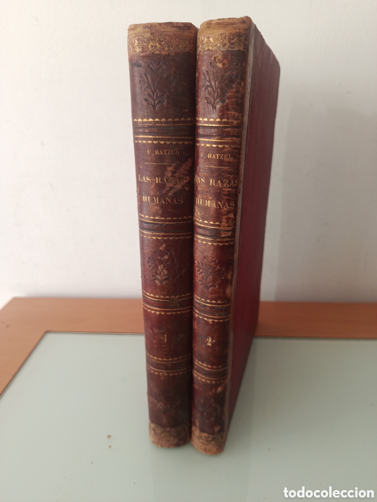 Libros antiguos: LAS RAZAS HUMANAS FEDERICO RATZEL 1884 MONTANER Y SIM&Oacute;N