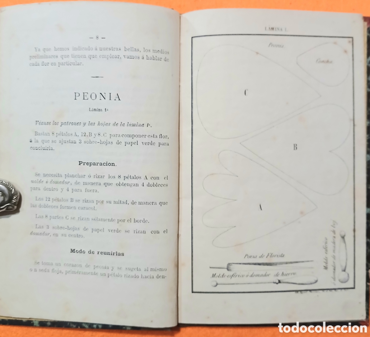 Libros antiguos: La Florista de los salones - Foto 5